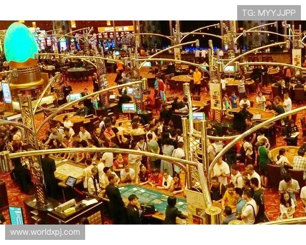 澳门新京网娱乐app为用户提供丰富的娱乐资讯和深度报道，满足不同用户的多样需求